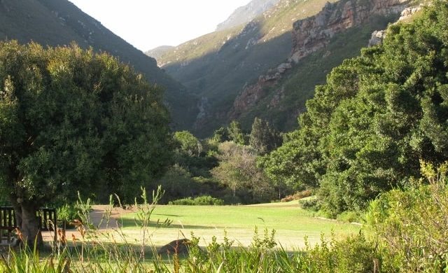 harold-porter-botanical-garden